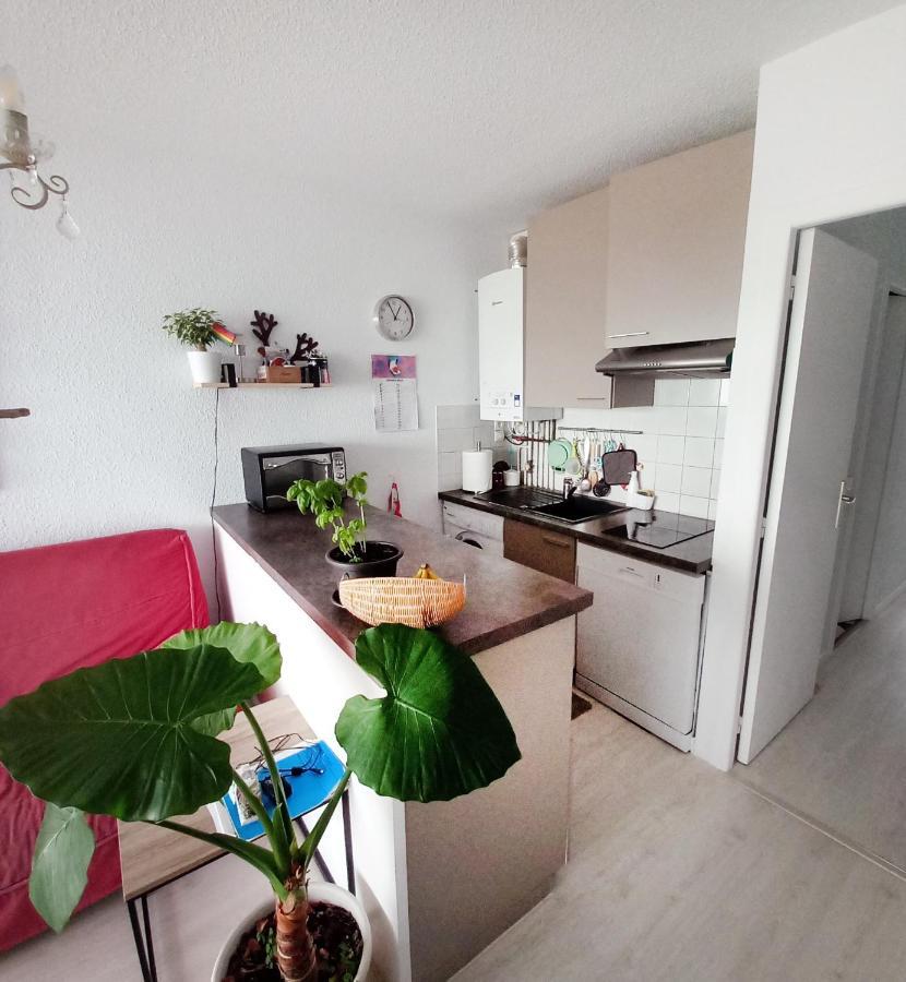 Appartement Bord De Mer Tres Lumineux 2/4 Pers. - Vue Inoubliable 앙다이 외부 사진
